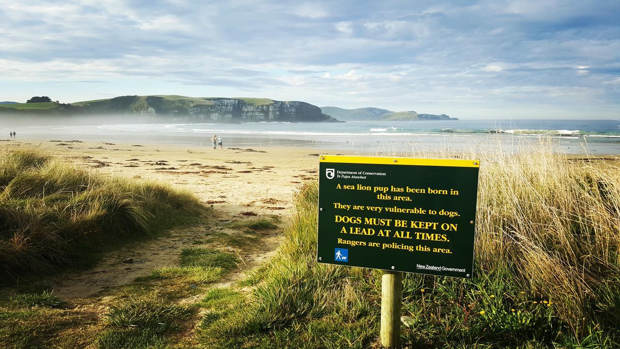 Kaka Point Spa Accommodation - Catlins المظهر الخارجي الصورة