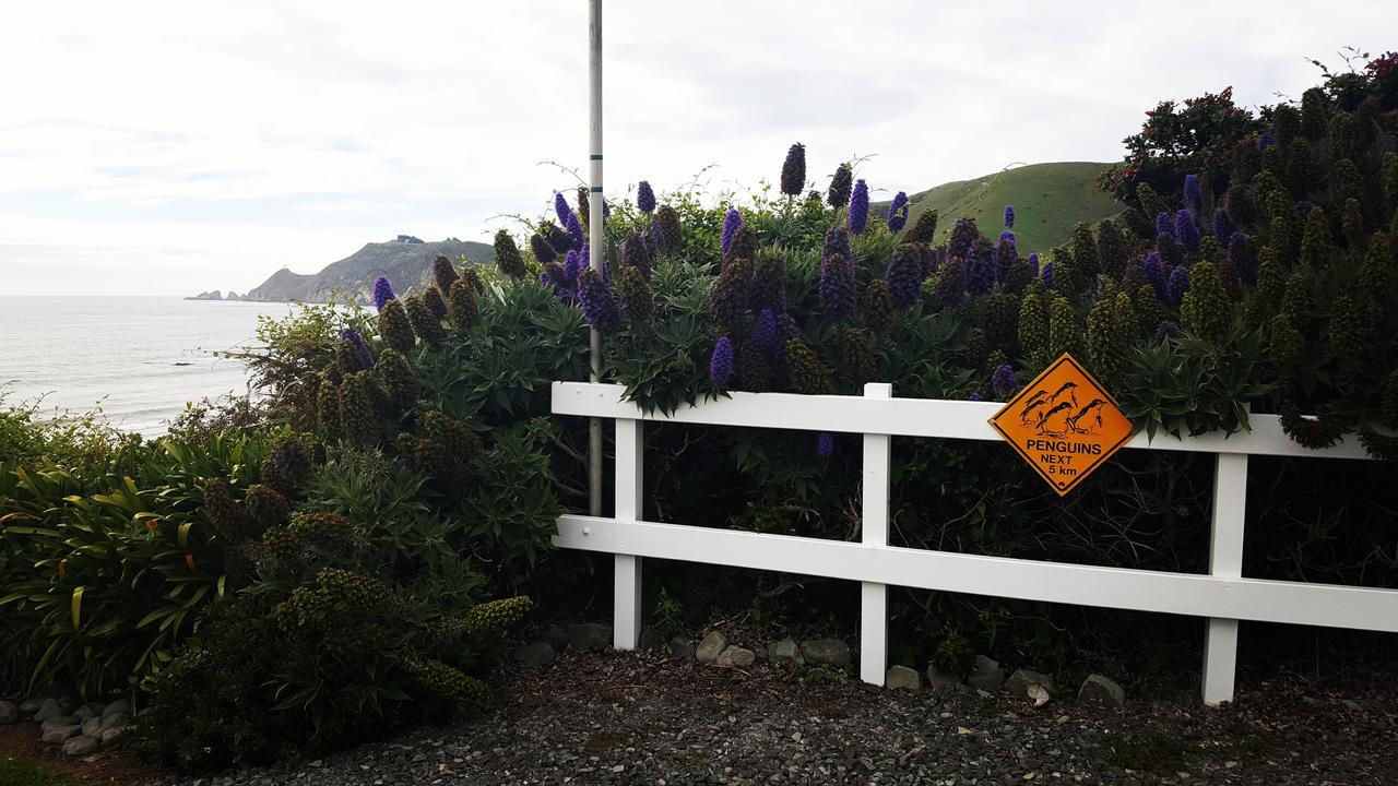 Kaka Point Spa Accommodation - Catlins المظهر الخارجي الصورة